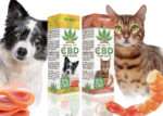 EUPHORIA CBD ÖL FÜR KATZEN 3 % 10 ML – Bild 2
