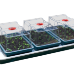 Garland Aufzuchtstation 'mittel', beheizt 80,5 x 41 x 20,5 cm