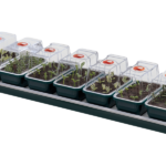 Garland Aufzuchtstation für die Fensterbank, länglich, beheizt, 76 x 18,5 x 15 cm