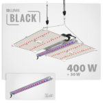 Lumii Black, Blade 400W LED + 30W UV/FR LED-Leiste, Bundle