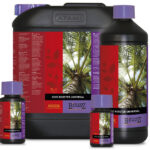 ATAMI B'cuzz Coco Booster 1L