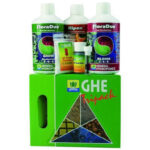 T.A. 3-Pack DualPart HW (GHE)