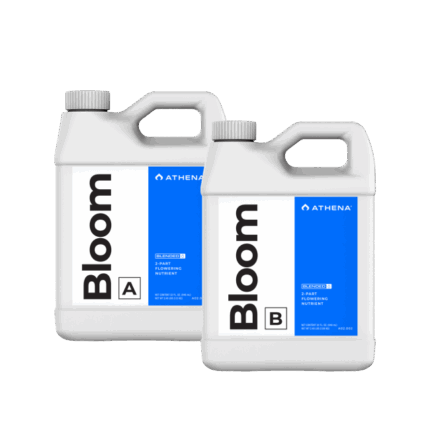 ATHENA Bloom A + B, je 946 ml