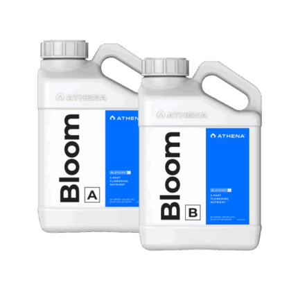 ATHENA Bloom A + B, je 3,79 L